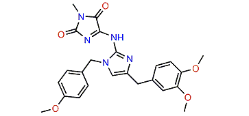 Isonaamidine E